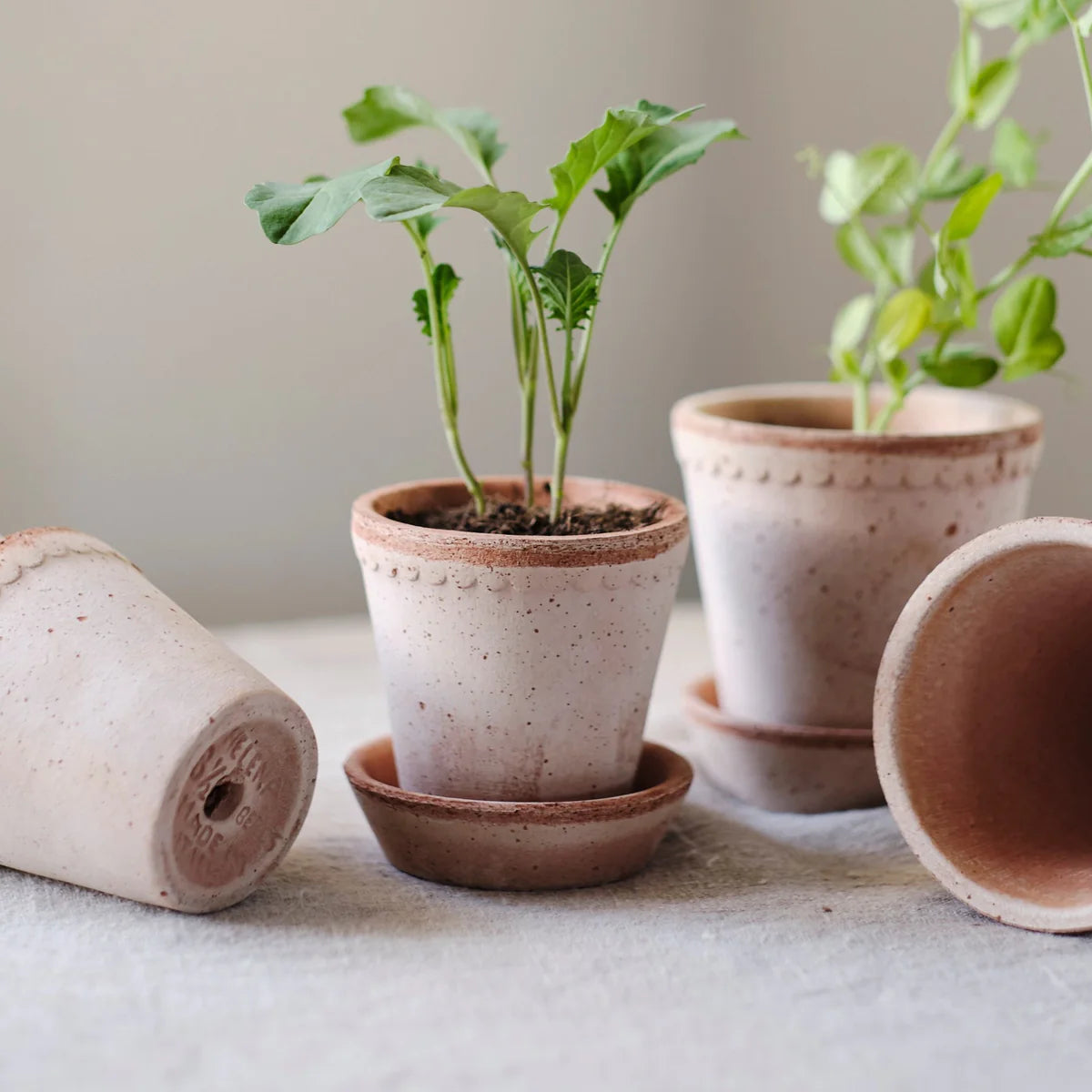 Bergs Potter Helena Pot