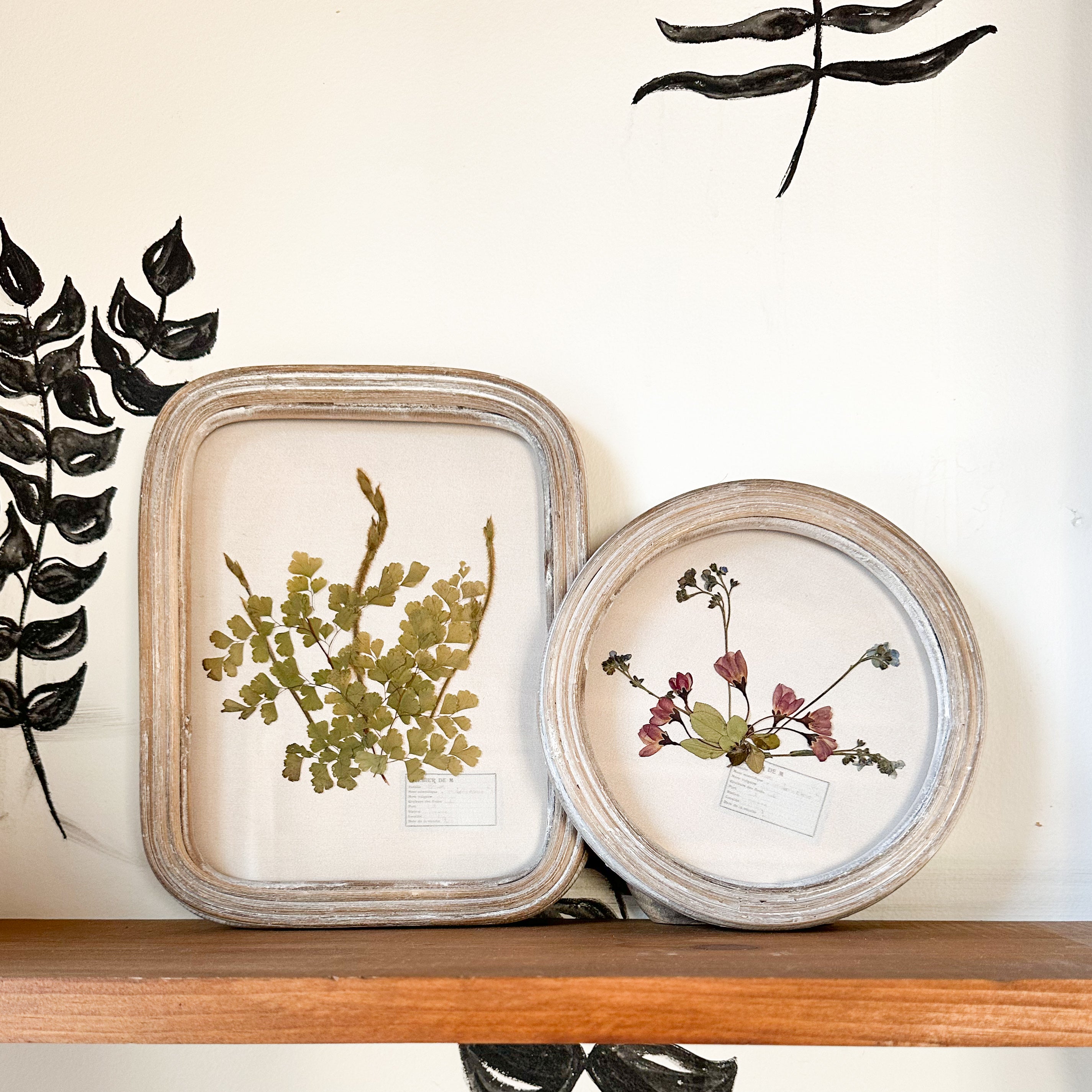 Pressed Real Florals In Rectangular And Round Frames