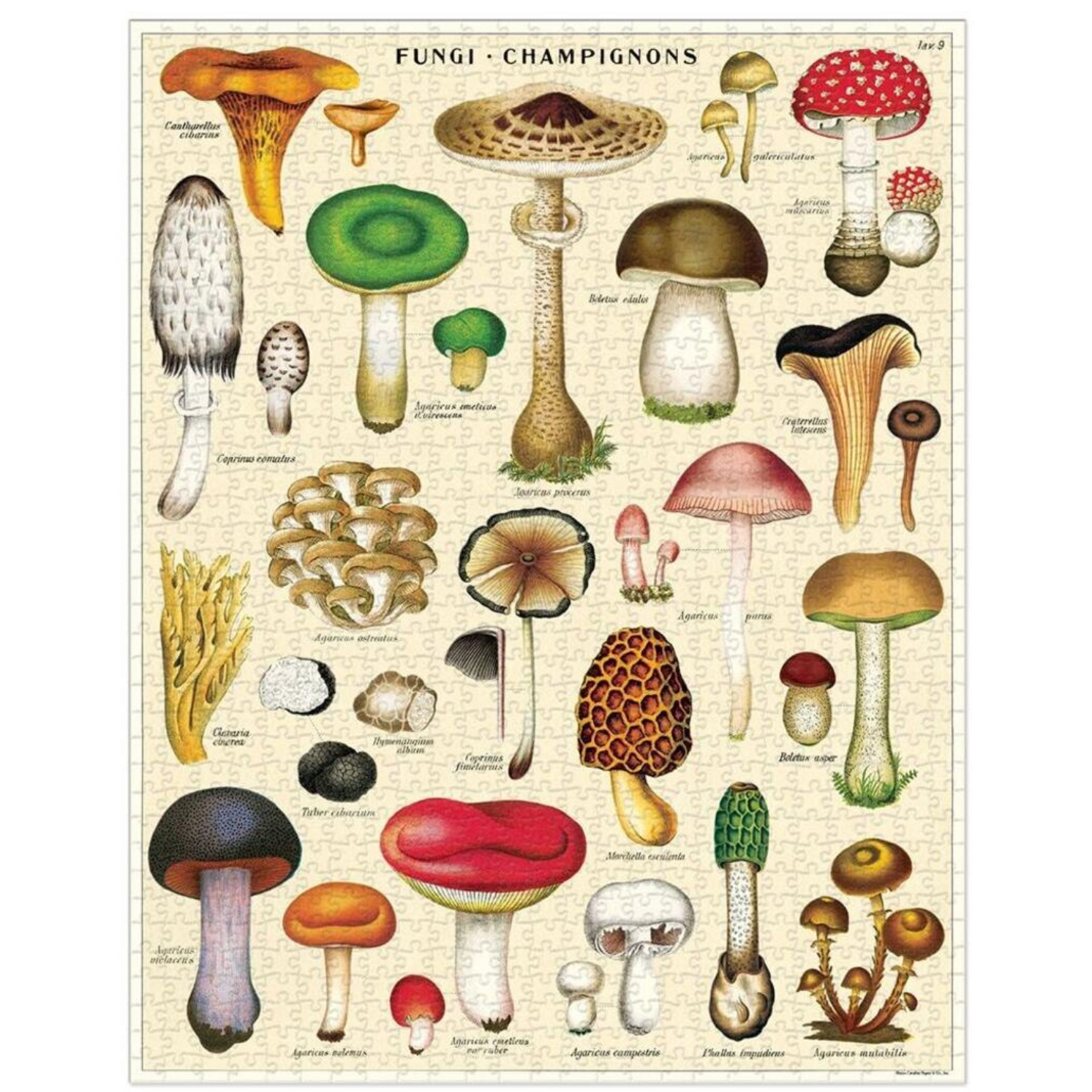 Mushrooms 1000 Piece Vintage Style Jigsaw Puzzle